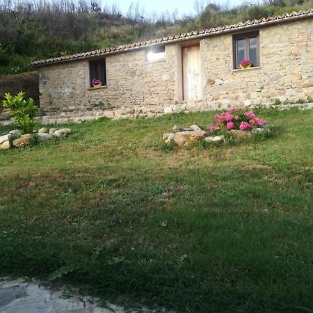 Il Cerro Agriturismo Zagarese 富斯卡尔多 外观 照片